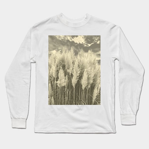 White Pampas Grass with dramatic sky above, nature sepia color photography Long Sleeve T-Shirt by KINKDesign